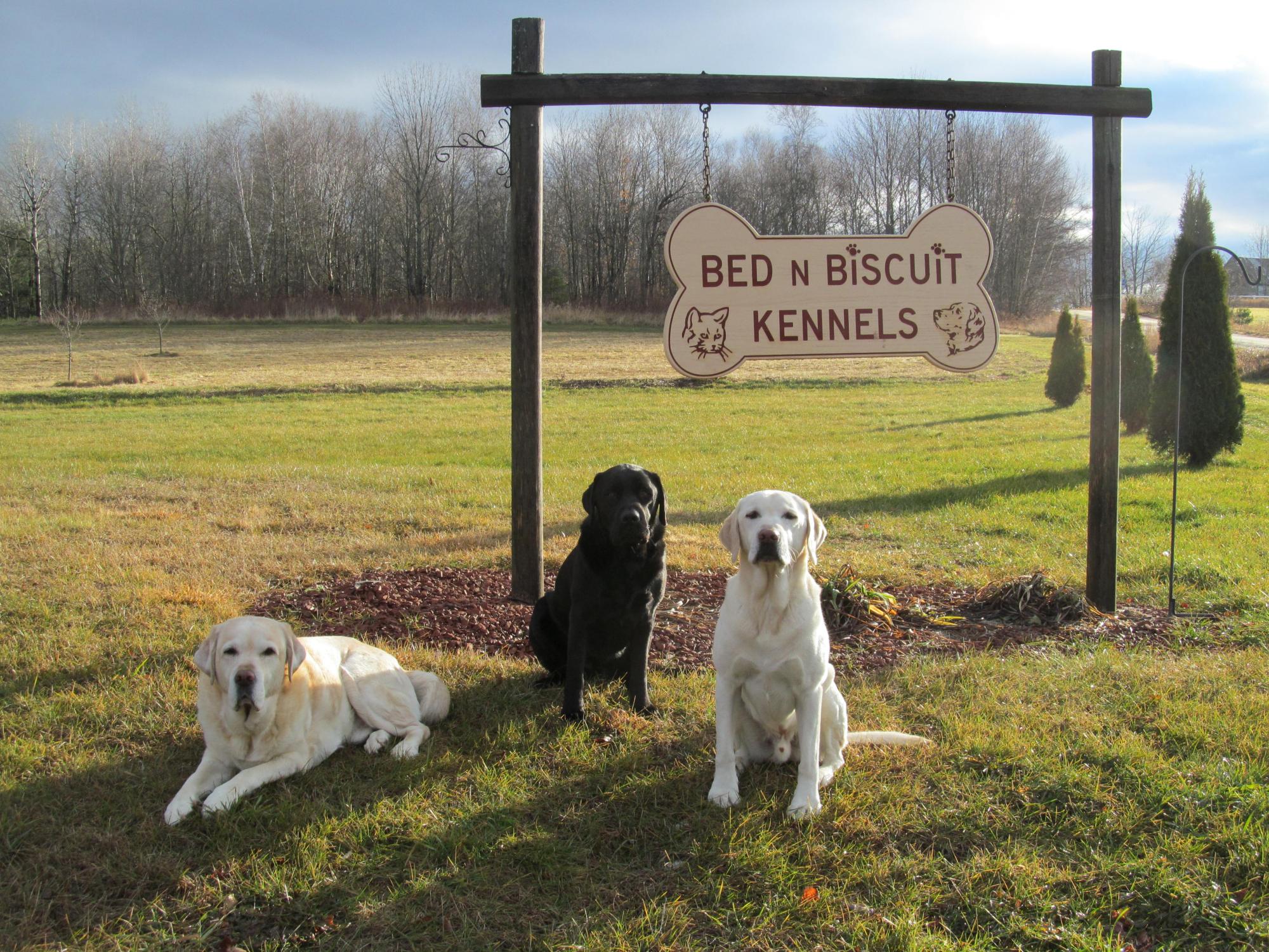 Bed & sales biscuit kennel